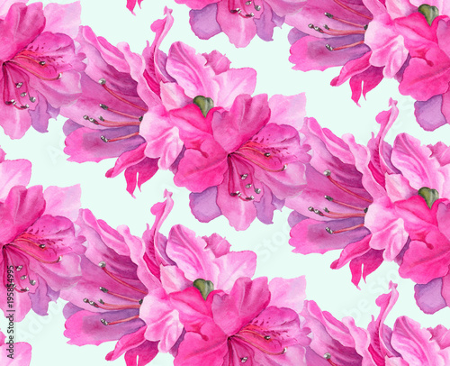 Obraz na płótnie z jasnoróżowymi kwiatami Azalii w akwareli