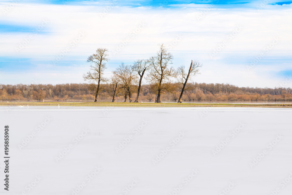 Beautiful winter landscape in countryside, frozen lake surface in nature park Lonjsko polje, Croatia Beautiful winter landscape in countryside, frozen lake surface in nature park Lonjsko polje, Croatia