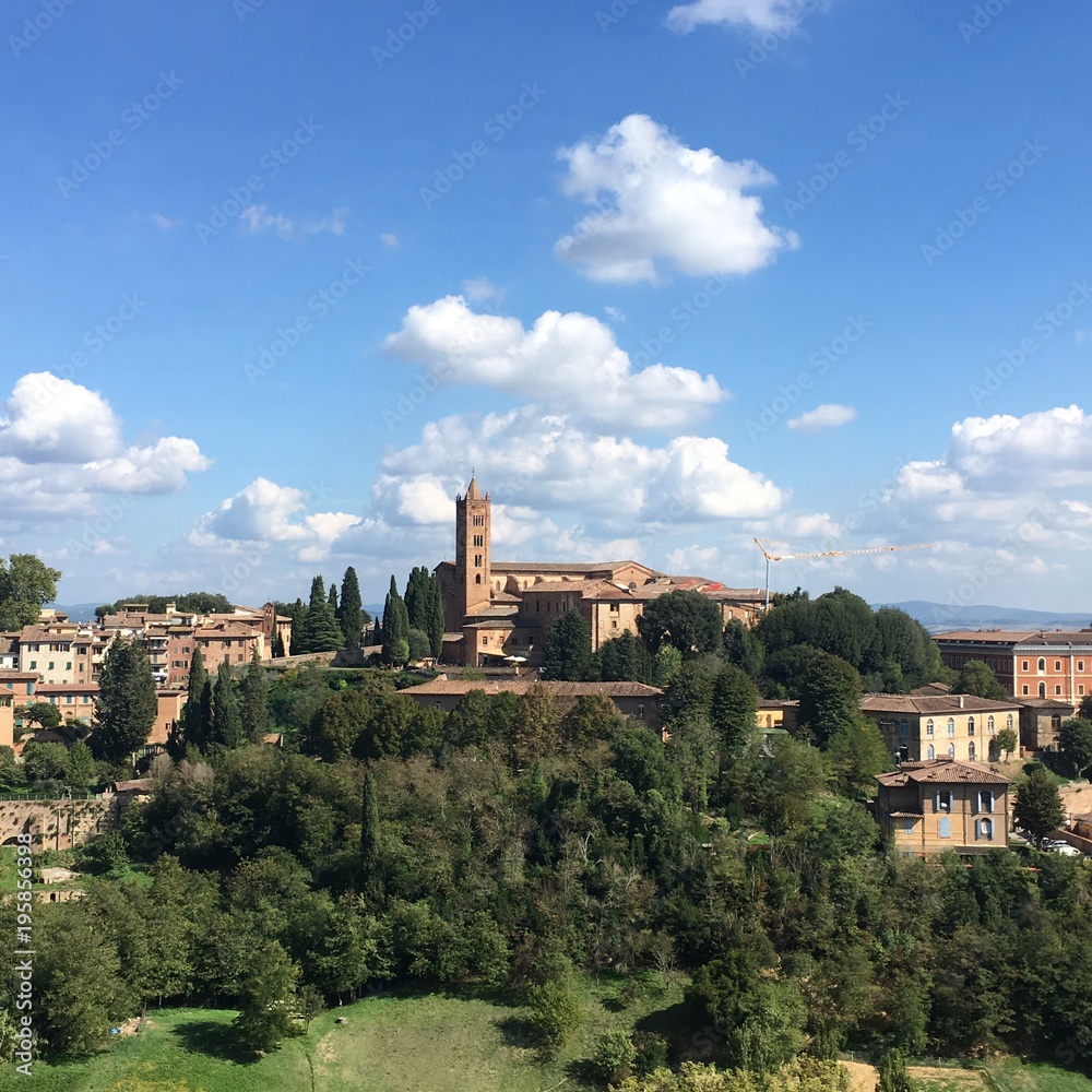 The view of Siena (Tuscany, Italy) from the hill