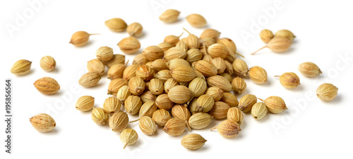 close up of dried coriander seeds isolated on white