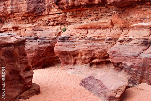 Red stone walls of the canyon.