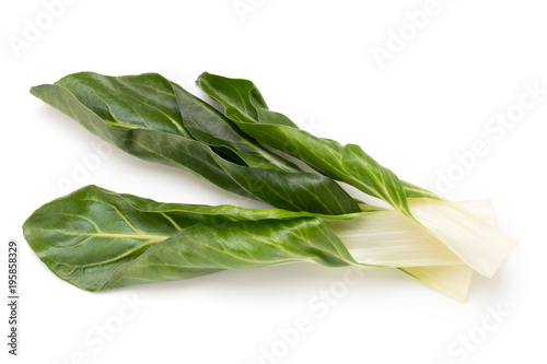 Spinach leaves close up isolated on white. photo