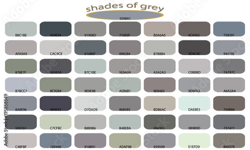 Shades of gray  color isolated on white background. Gray tones and shades. Color backgrounds with codes. Vector illustration of palette.