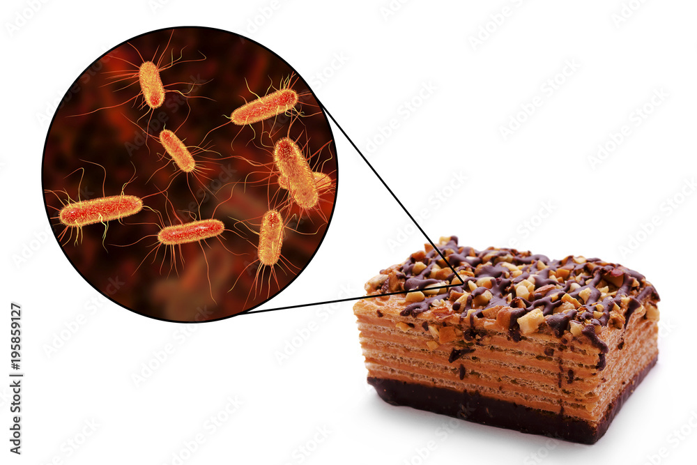 Escherichia coli food borne infections, medical concept, 3D