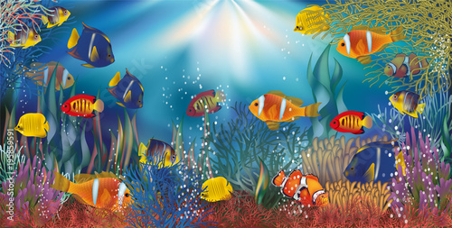 Underwater tropical wallpaper, vector illustration