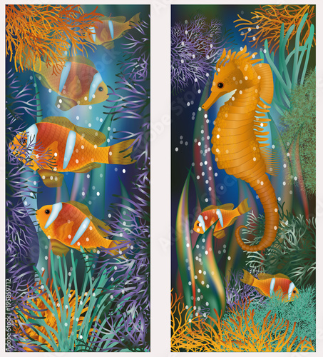 Underwater banner with horsefish and clownfish, vector illustration