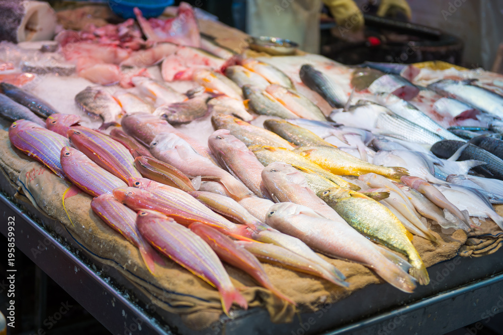Variety of fresh fish for sale in market