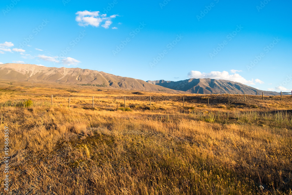 Obraz premium Beautiful scene of the yellow grassland mt cook and lake tekapo before sunset.