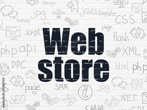 Web design concept: Painted black text Web Store on White Brick wall background with Hand Drawn Site Development Icons