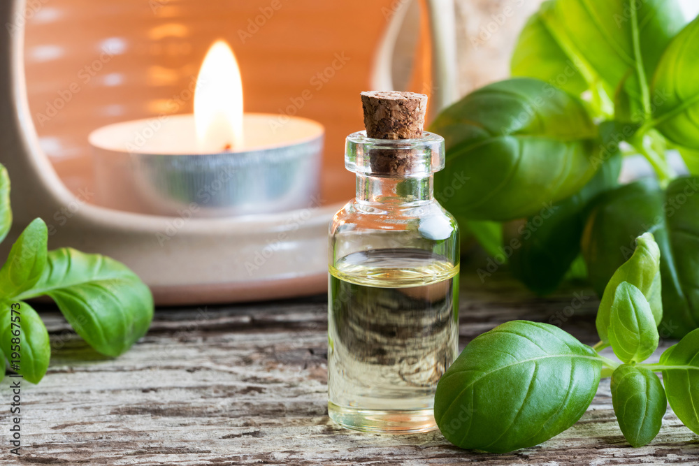 A bottle of basil essential oil with fresh basil leaves