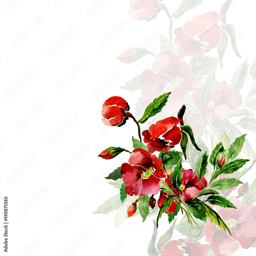 Watercolor illustration of a flowering briar branch. Watercolor illustration of a flowering briar branch.