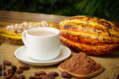 Hot chocolate drink  raw cocoa fruit  cacao beans  powder