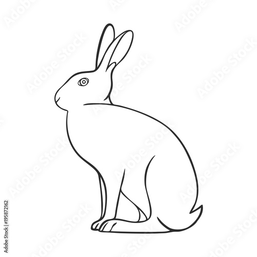 Line art animal hare icon, vector