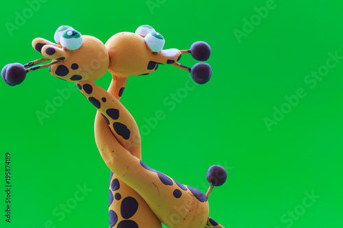Photography Two giraffes and one kiss