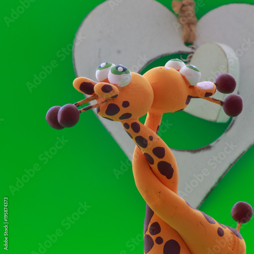 Photography A white heart for two giraffes