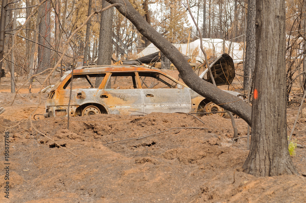 Destruction of the forest and damage to homes caused by the California Butte fire Destruction of the forest and damage to homes caused by the California Butte fire