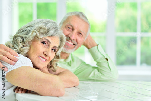 portrait of a happy senior couple  