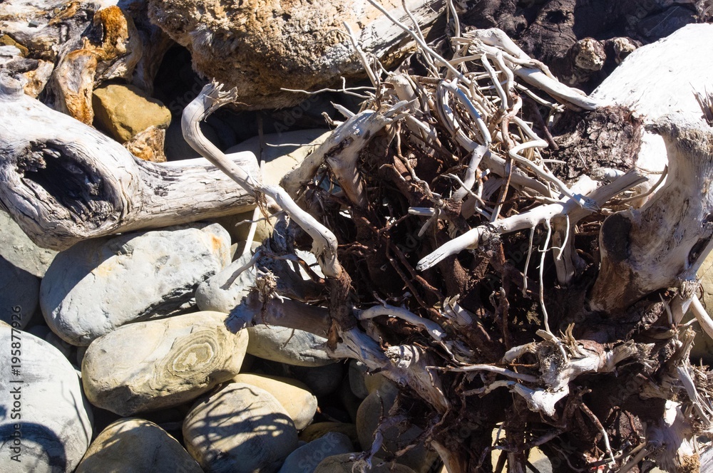 driftwood, washed up by the sea on a pebble beach driftwood, washed up by the sea on a pebble beach