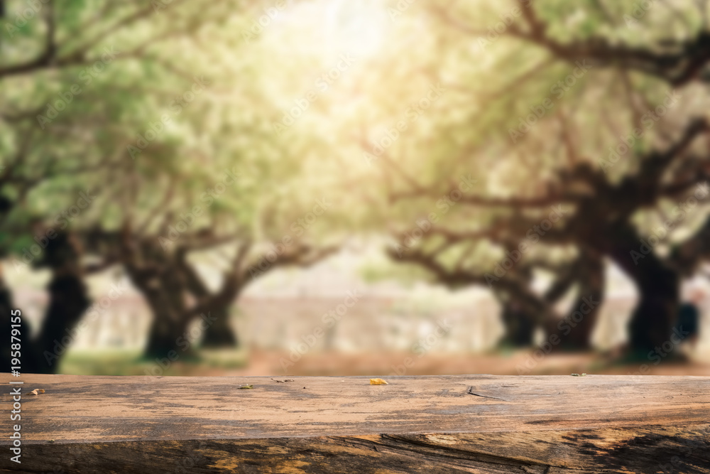 Wooden table. Spring design with forest and empty display. Space for your montage.