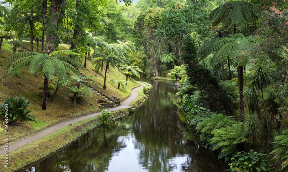 Αυτοκόλλητο Terra Nostra park, Sao Miguel Iskand, Azores
