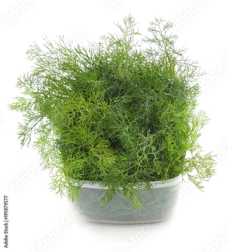 Bunch of dill in the container.