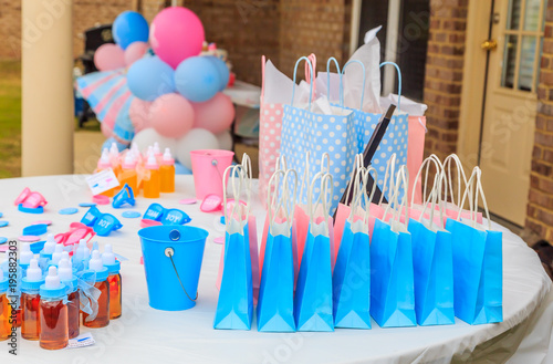 Photographie Outdoor Pink and Blue Gender Reveal Party Decoration:  Pink and blue, girl or boy, outdoor gender reveal party decoration and party favorites