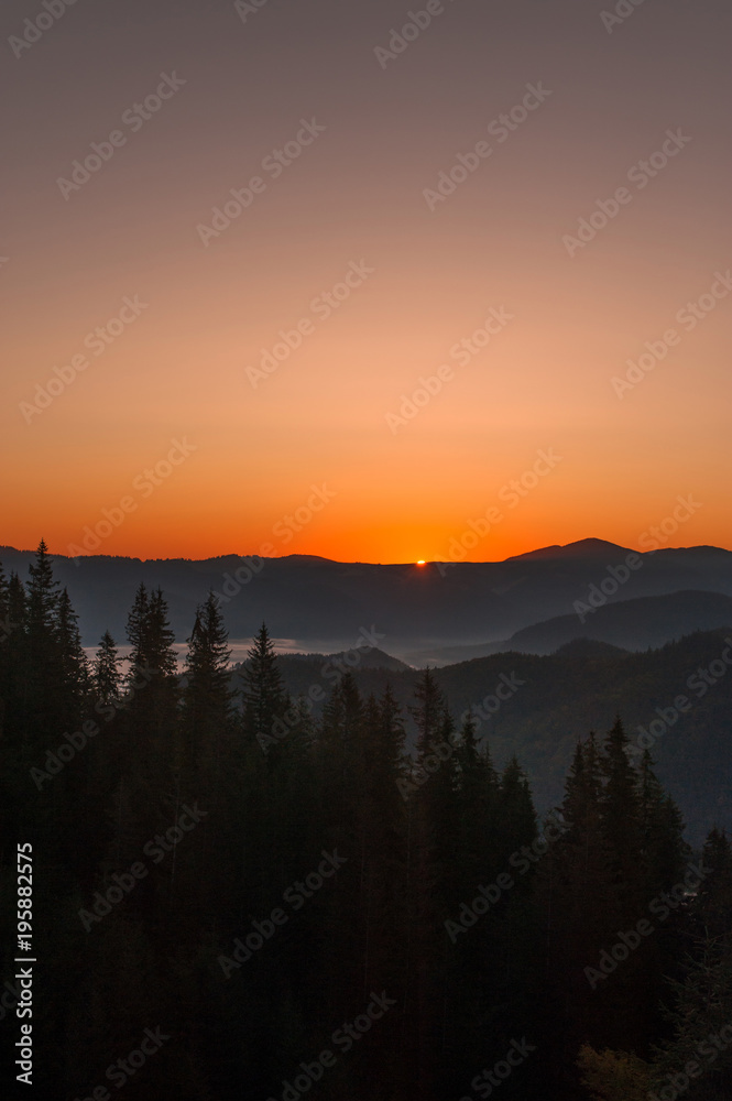 nature, forest, mountains and sunrise