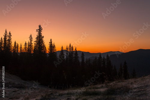 nature  forest  mountains and sunset