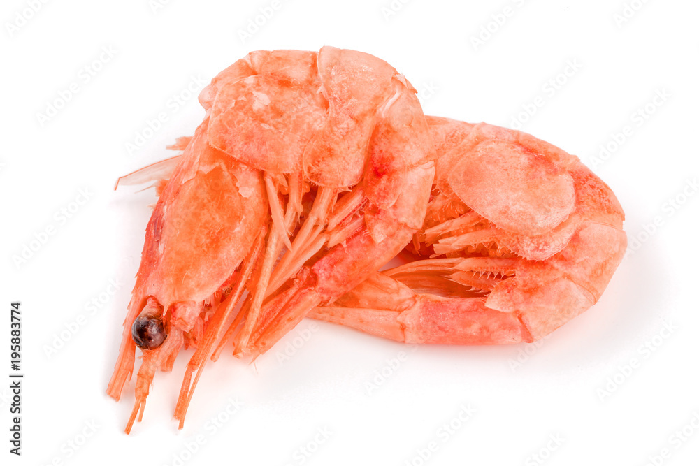 Red cooked prawn or shrimp isolated on white background Red cooked prawn or shrimp isolated on white background