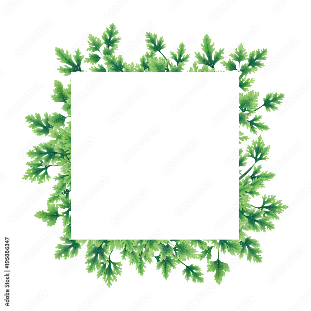 Green parsley leaves at the borders of the illustration. Inside an empty white background.