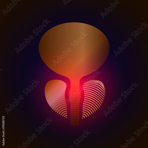 Prostate with a point of pain. Stylized transition from a real organ to an X-ray effect. Medical illustration of prostate diseases