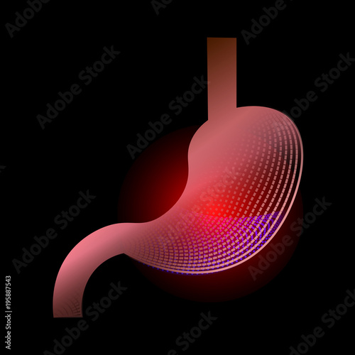 Stomach with a point of pain. Stylized transition from a real organ to an X-ray effect. Medical illustration of stomach diseases