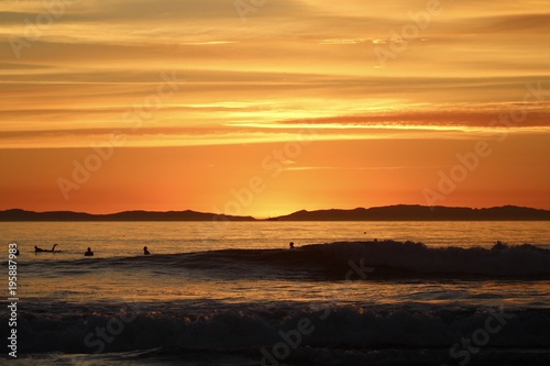 silhouettes of surfers during a california sunset