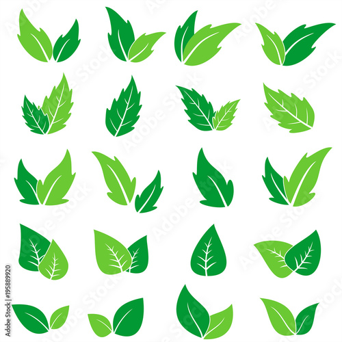 Green leaf icons set. Vector graphic illustration.