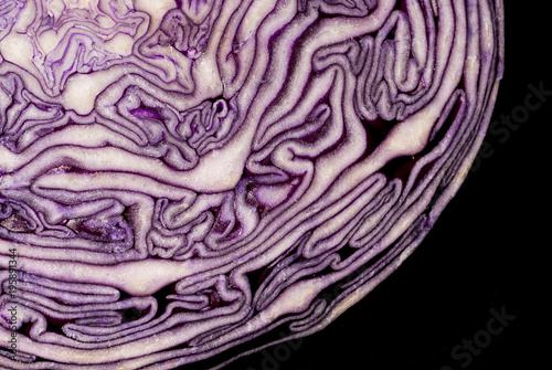 Detail of Red cabbage section