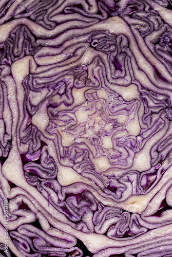 Detail of Red cabbage section