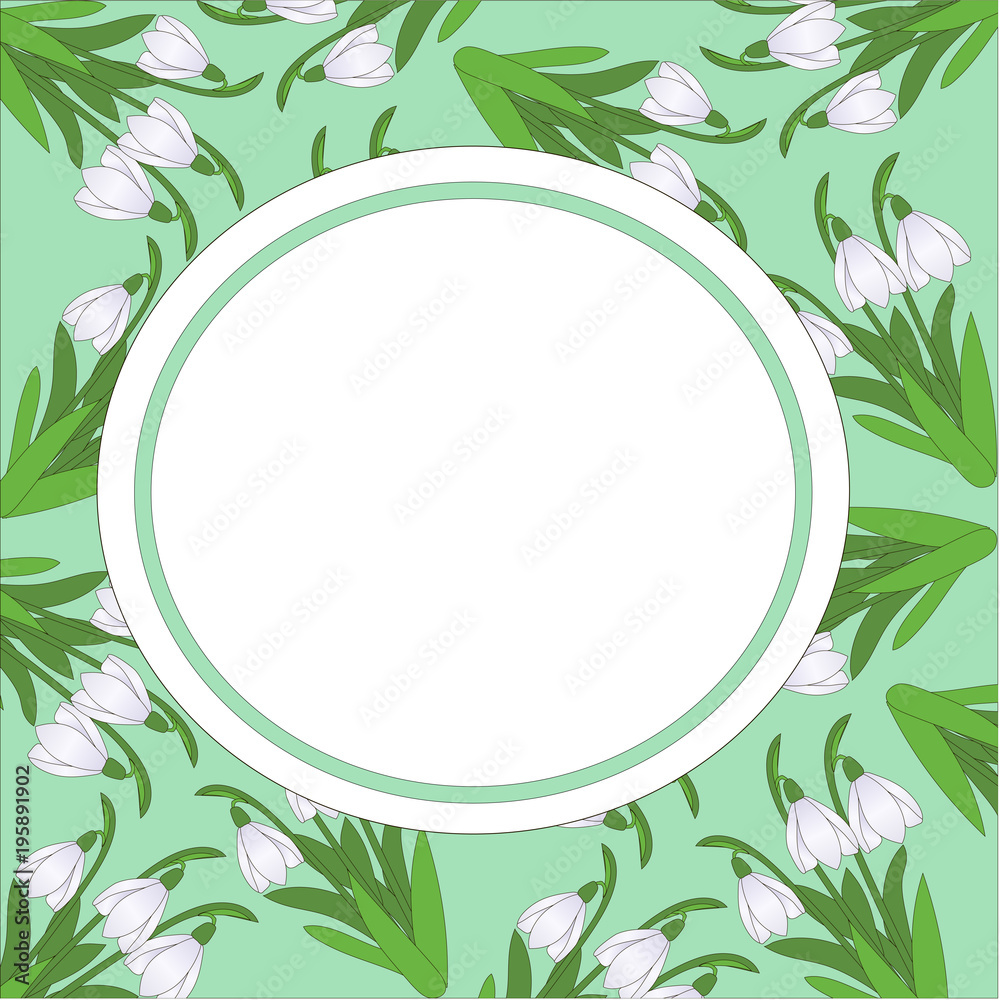 postcard pattern of snowdrops on a light green background postcard pattern of snowdrops on a light green background