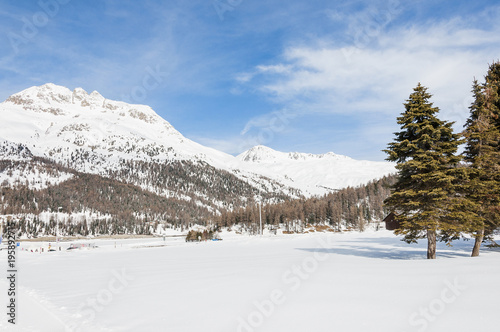 St. Moritz, Silvaplana, Piz Nair, Julier,  Alpen, Corviglia, Winter, Wintersport, Langlauf, Oberengadin, Graubünden, Schweiz © bill_17