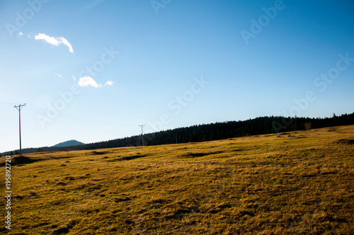 Golden meadow on the mountain