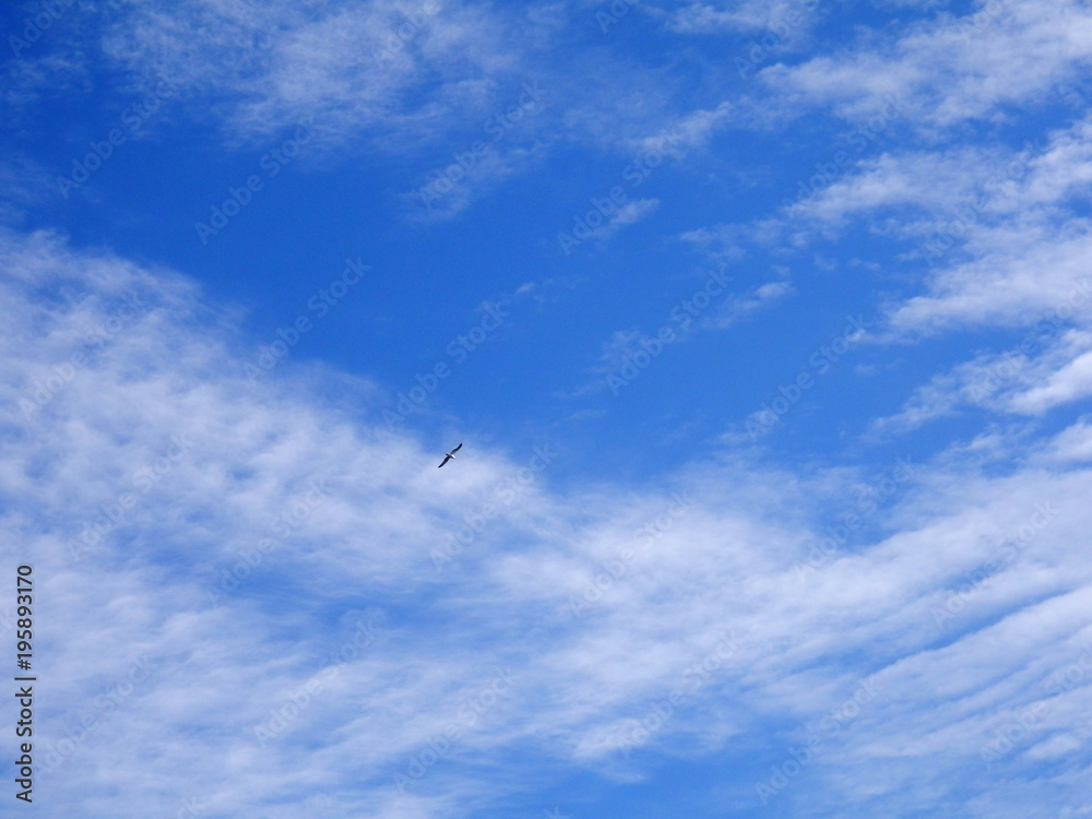 Cielo e nuvole