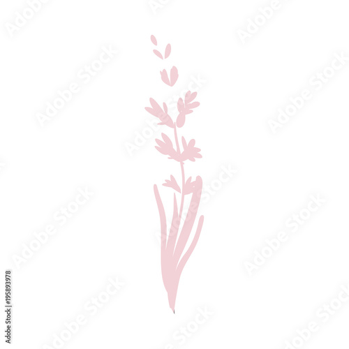 Vector cartoon abstract pink flower silhouette icon. Meadow garden spring easter women day romantic holiday, wedding invitation card decoration element summer floral Illustration white background