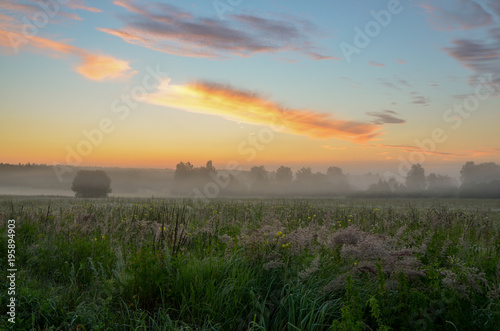 mist over meadow with wild flowers and clouds colored by sunrise Kaluga region, Russia