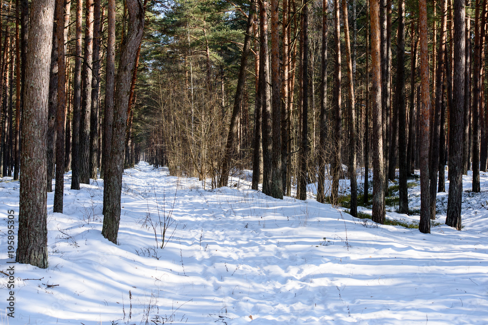 Fototapeta premium snowy winter road covered in deep snow
