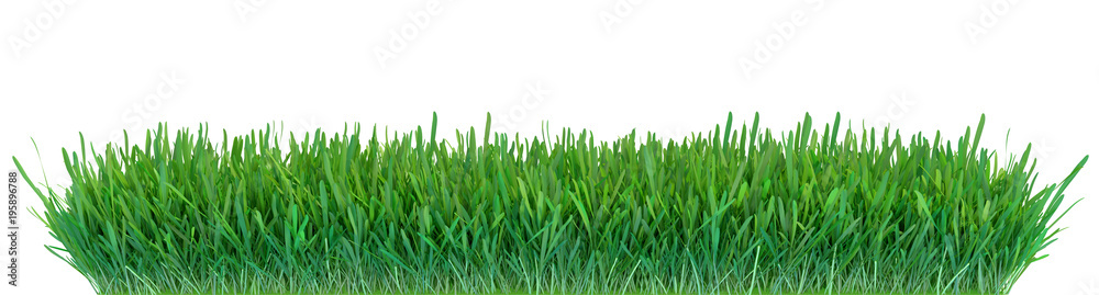 Naklejka Zielona trawa. Naturalna trawa tekstura tło. Łąka. Wiosna, sezon letni. Roślinny wzrost renderowania 3d