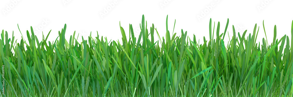 Green grass. Natural grass texture background. Meadow. Spring, summer season. Plant growth 3d rendering Green grass. Natural grass texture background. Meadow. Spring, summer season. Plant growth 3d rendering