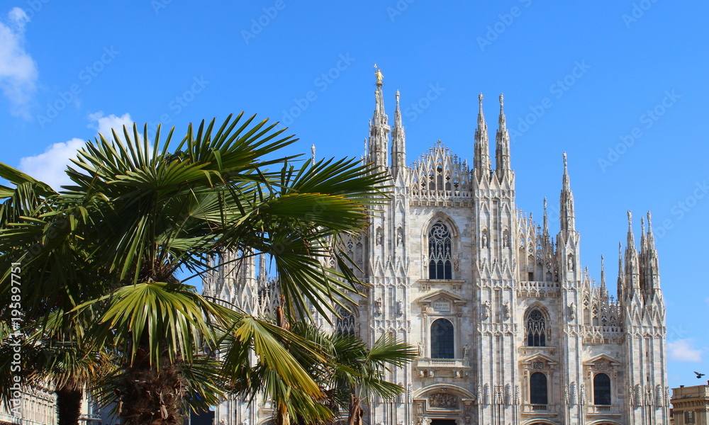 Duomo di Milano in Primavera: palme, guglie e statue Duomo di Milano in Primavera: palme, guglie e statue