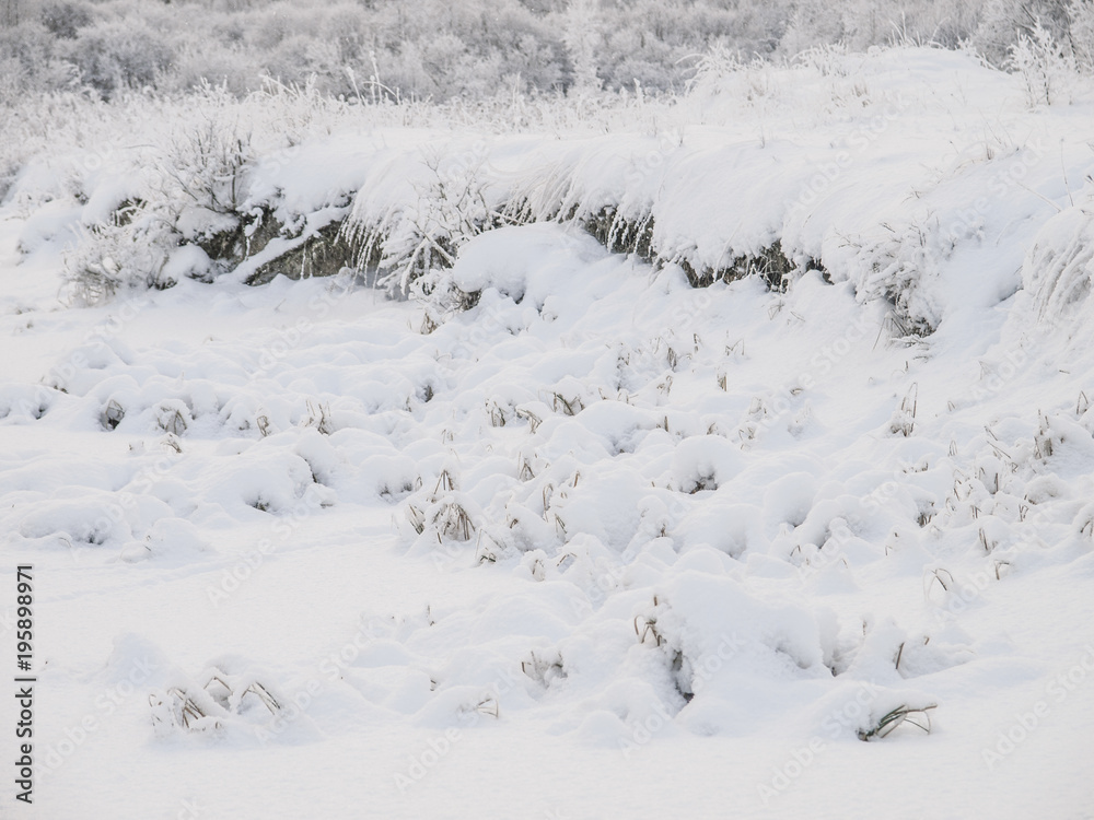 Winter snow scenary. A landscape with caps of snow on the ground, weeds and bushes.