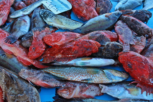 Fotografija fresh silver and red fishes at the fishmarket