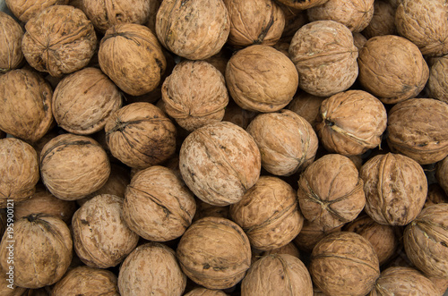 Natural walnut in shell.