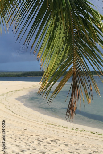 white sand at the beach in mauritius island